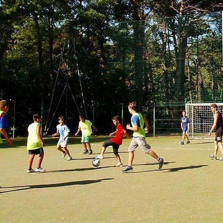 Camping Olaszelmeny Caravans