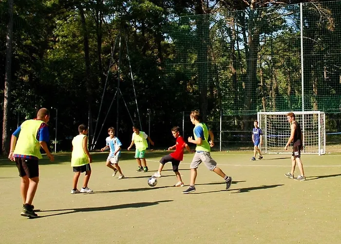 Campsite Olaszelmeny Caravans