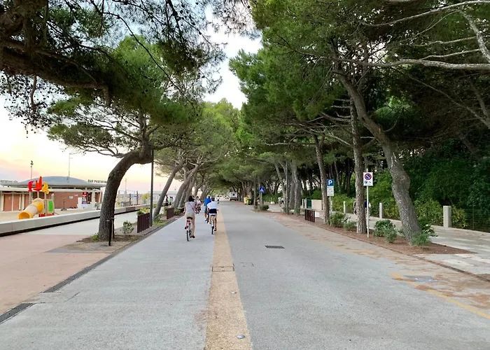 Olaszelmeny Caravans Campsite